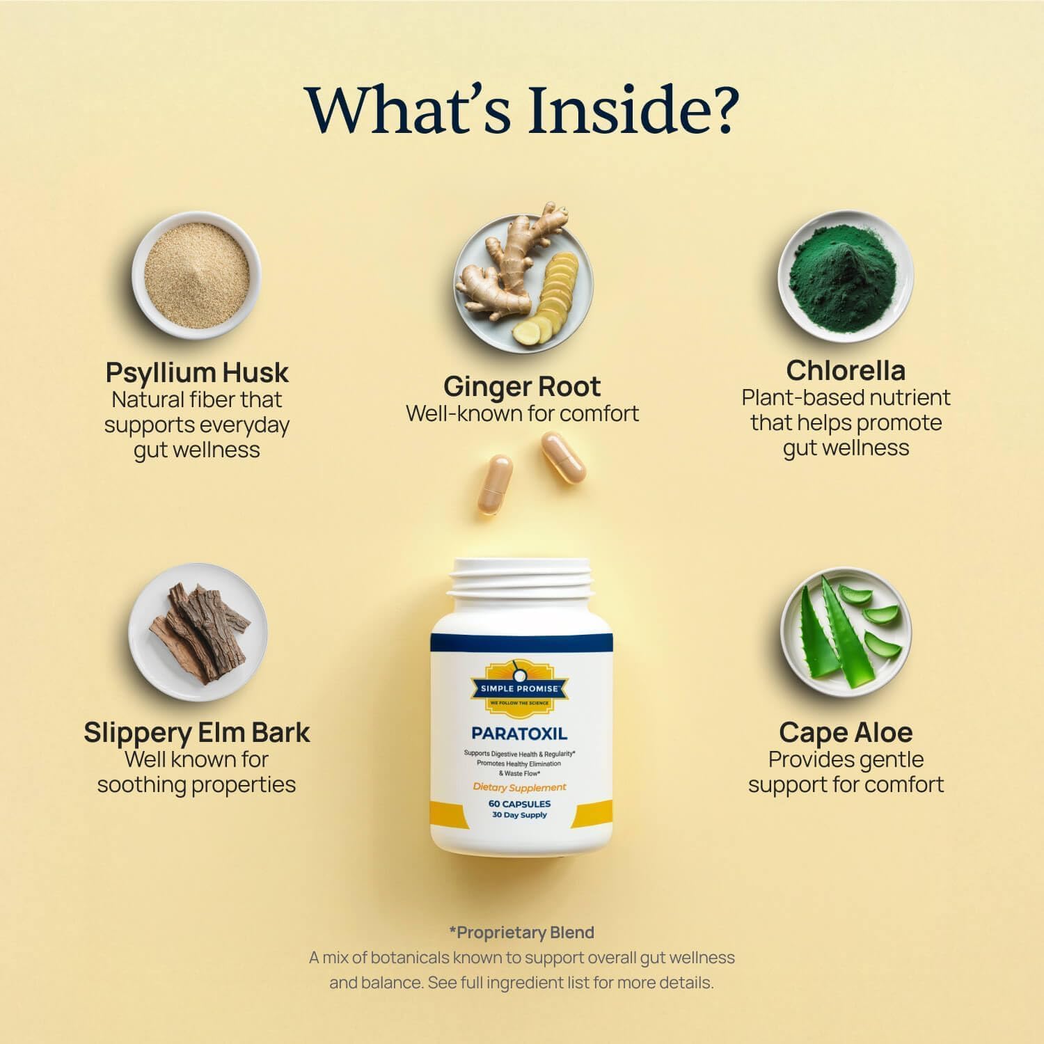Raw Paratoxil ingredients: psyllium husk, ginger root, chlorella, slippery elm bark and cape aloe